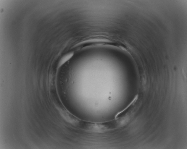 X0000086270379200704051315