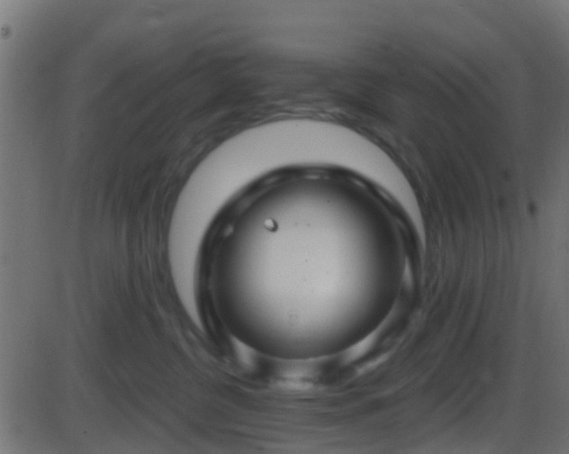 X0000086270380200704051315