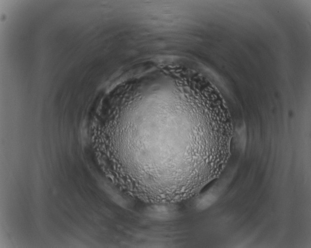 X0000086270381200704051315