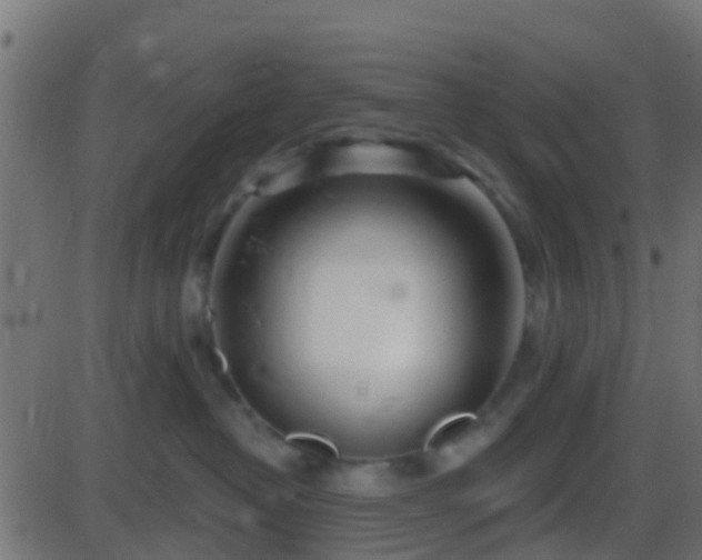 X0000086270382200704051315