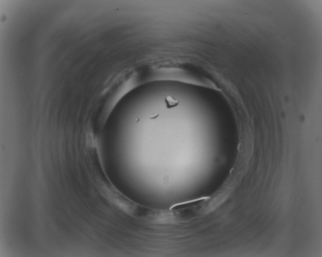 X0000086270384200704051316