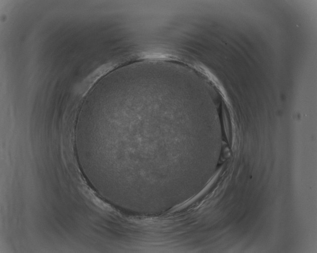 X0000086270385200704051315