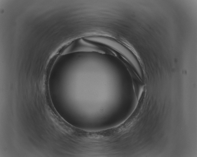 X0000086270387200704051315