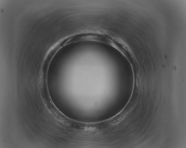 X0000086270388200704051315