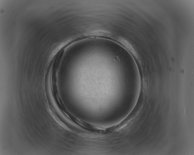 X0000086270389200704051315