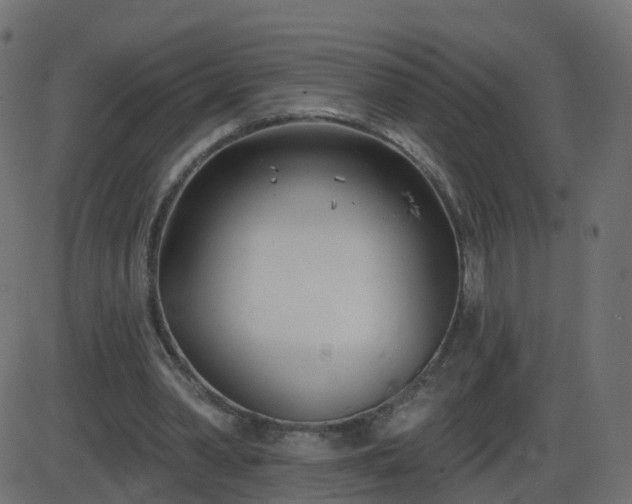 X0000086270390200704051315