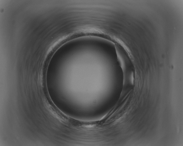 X0000086270391200704051315