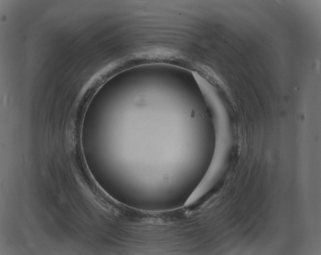 X0000086270392200704051315