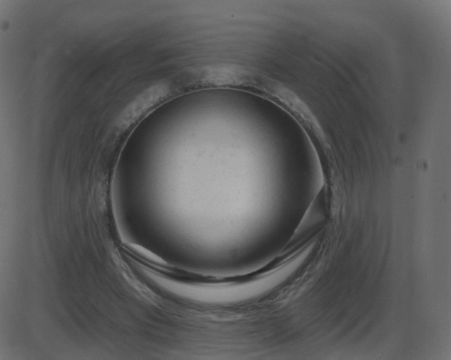 X0000086270393200704051315