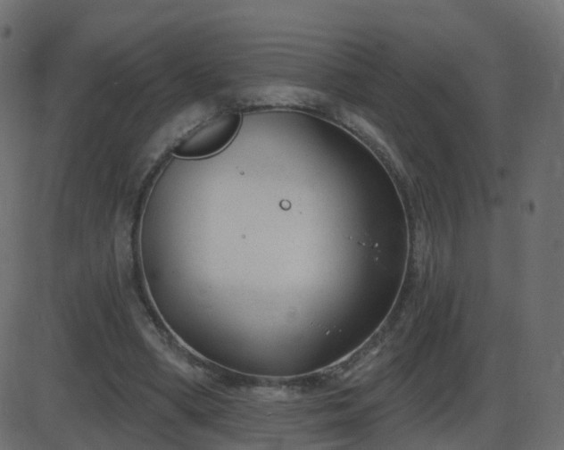 X0000086270394200704051315