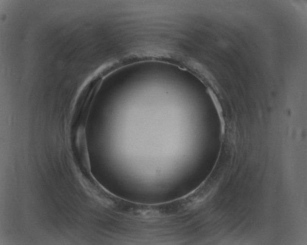 X0000086270395200704051315