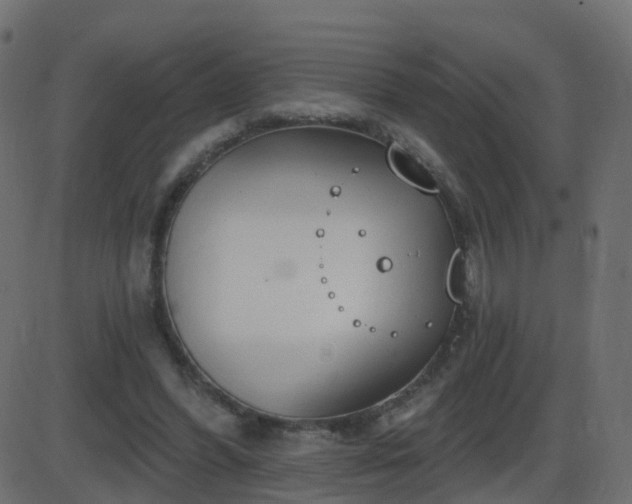 X0000086270396200704051315