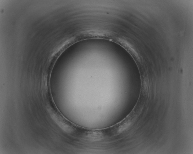 X0000086270398200704051314