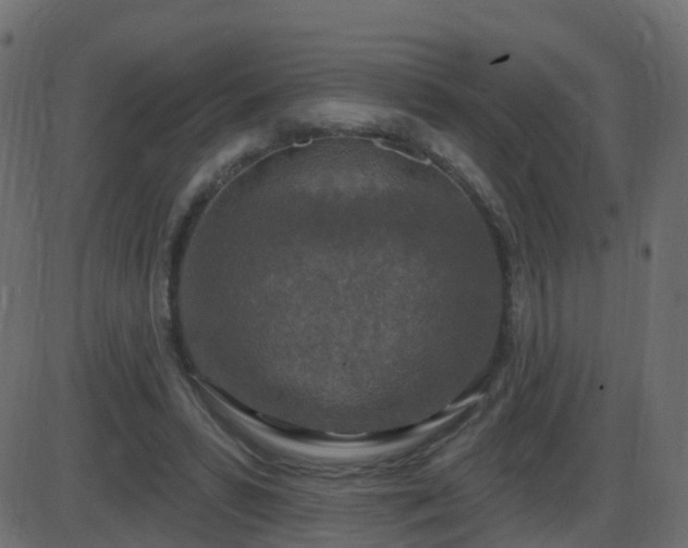 X0000086270399200704051314