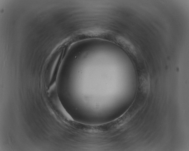 X0000086270400200704051314