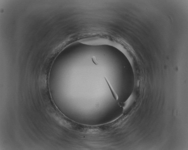 X0000086270401200704051314