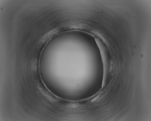 X0000086270402200704051314