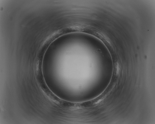 X0000086270404200704051314