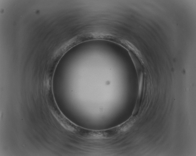 X0000086270405200704051314