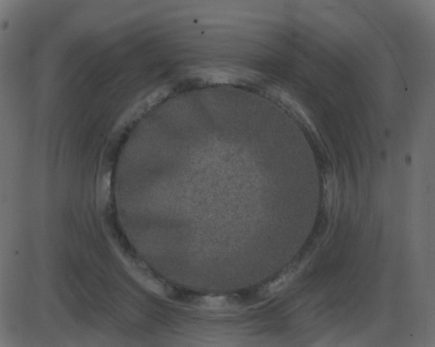 X0000086270406200704051314