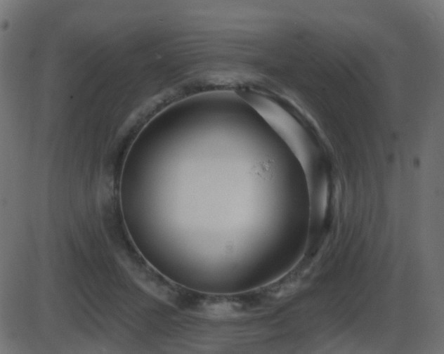 X0000086270407200704051314