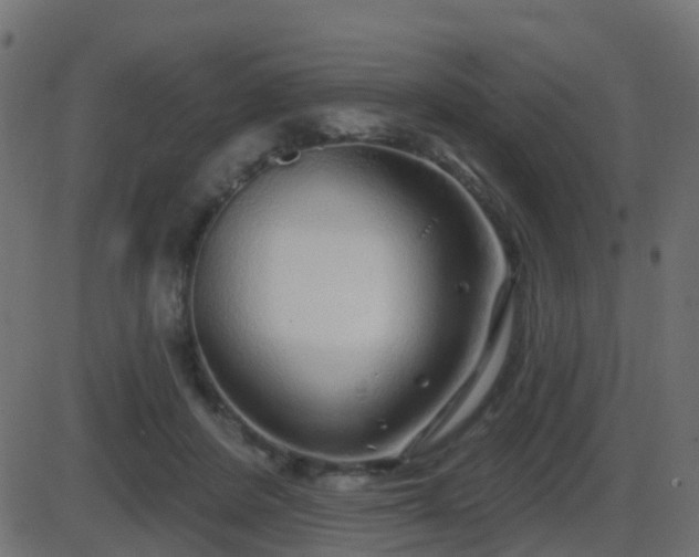 X0000086270408200704051314