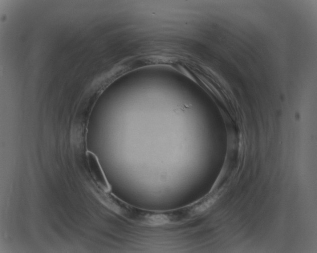 X0000086270409200704051314