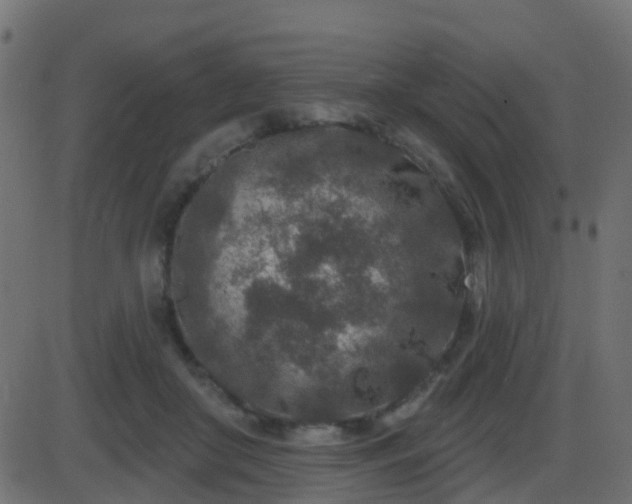 X0000086270410200704051314