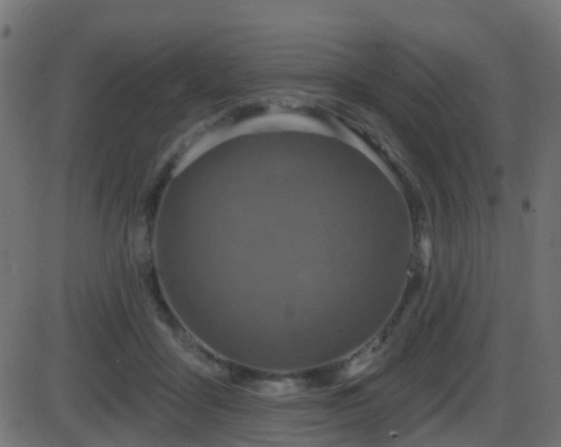 X0000086270411200704051314