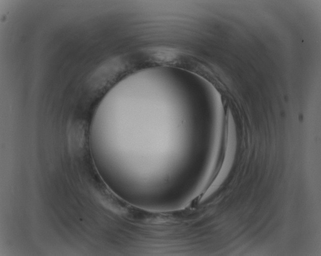 X0000086270412200704051314