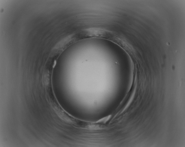 X0000086270413200704051314