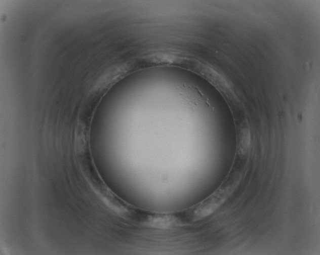 X0000086270414200704051314