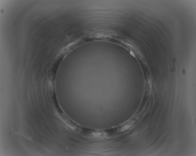 X0000086270415200704051314