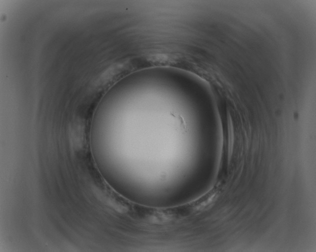 X0000086270416200704051314