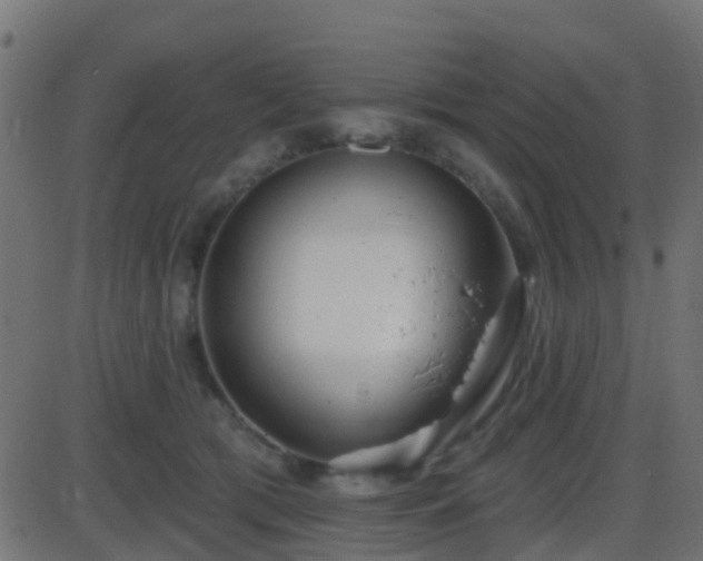 X0000086270417200704051314