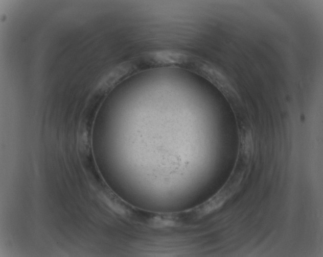 X0000086270418200704051314