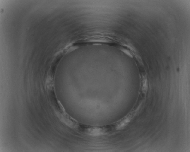 X0000086270419200704051314