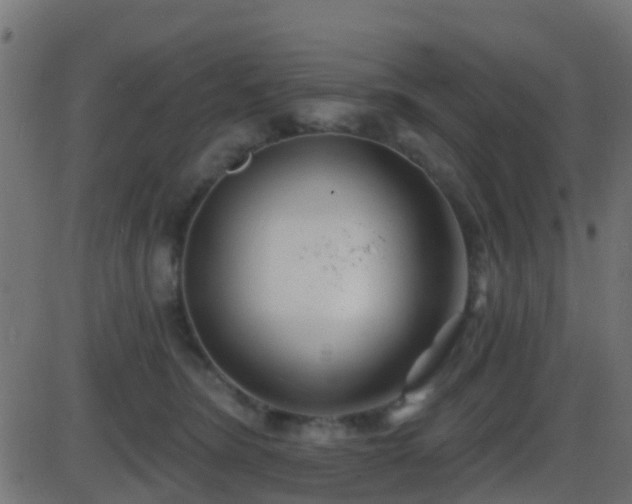 X0000086270420200704051314