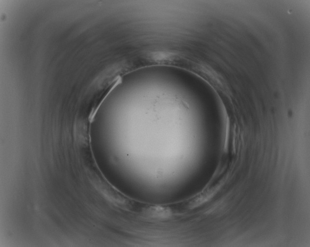 X0000086270421200704051314