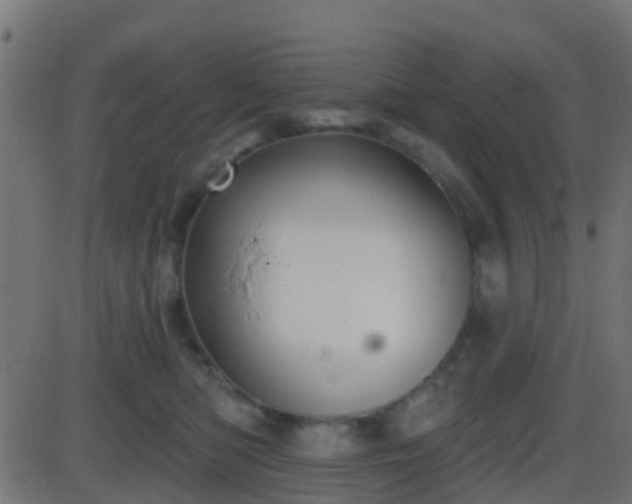 X0000086270422200704051314