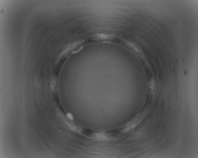 X0000086270423200704051314