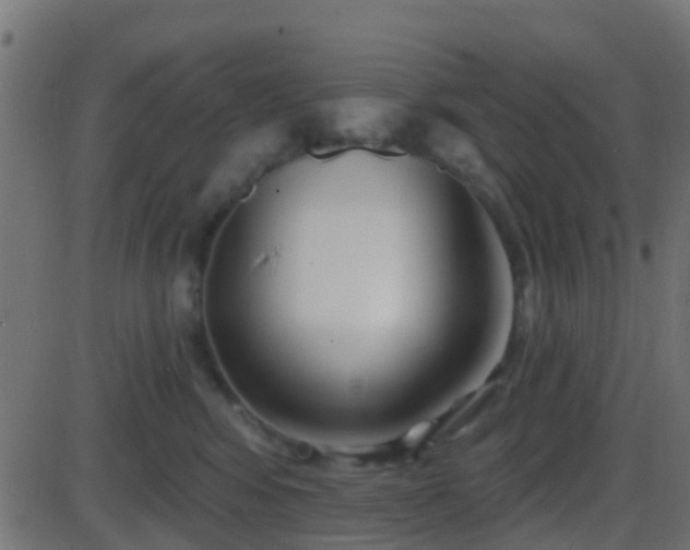 X0000086270424200704051314