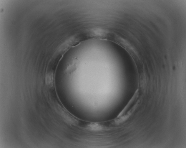 X0000086270425200704051314