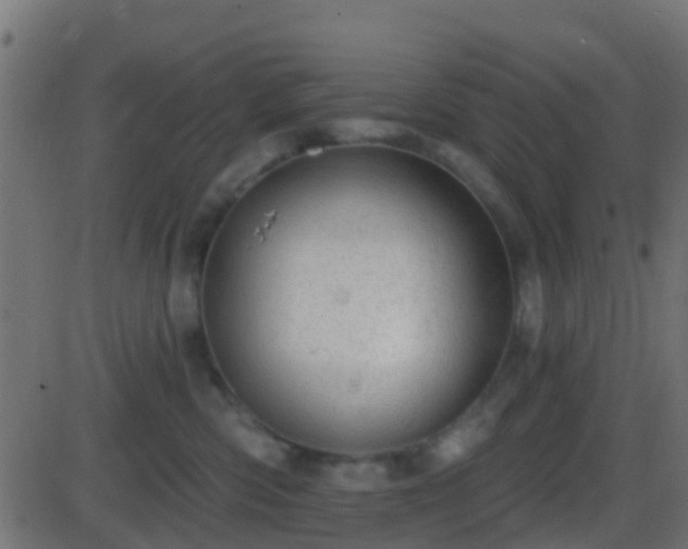 X0000086270426200704051314