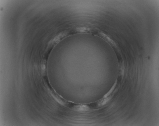 X0000086270427200704051314