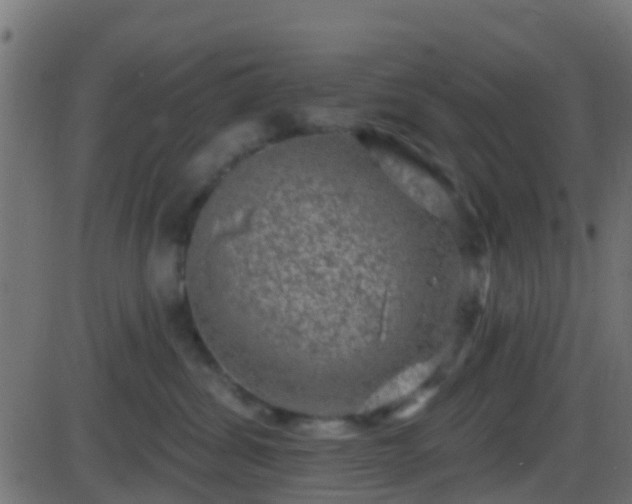 X0000086270428200704051314