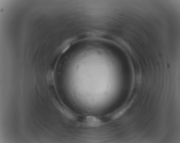 X0000086270429200704051314