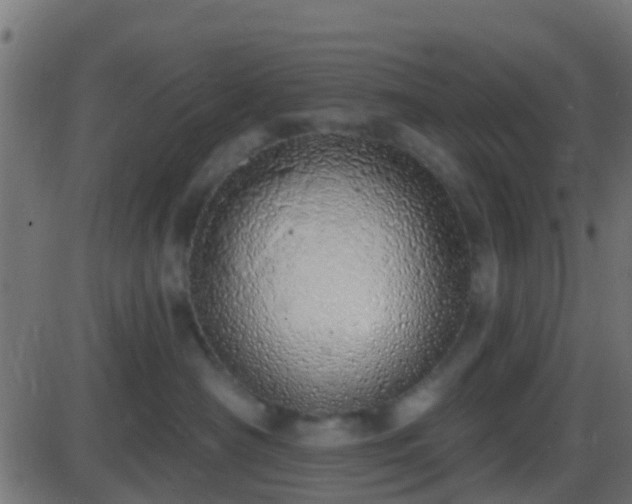 X0000086270430200704051314