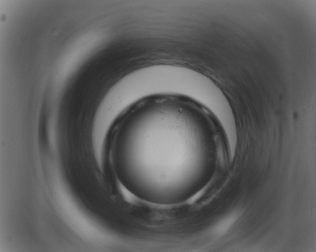 X0000086270431200704051314