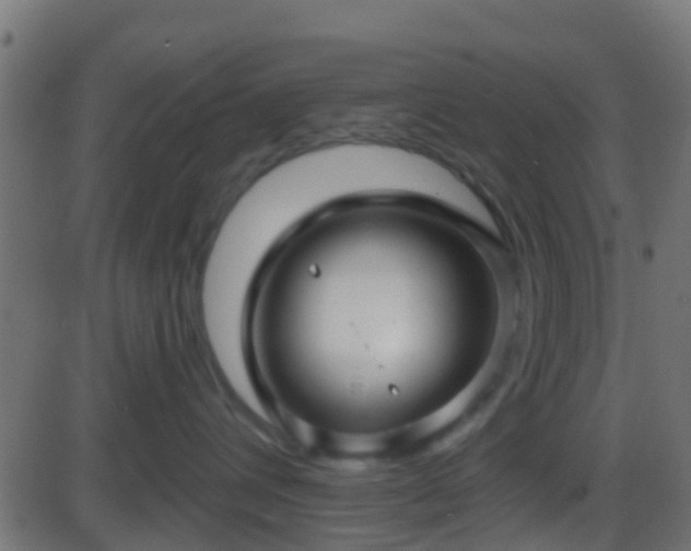 X0000086270432200704051314